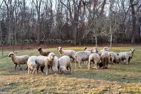 2424 Tower Hill Road North Kingstown RI 02874