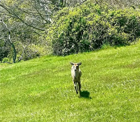 548 Center Road Block Island RI 02807