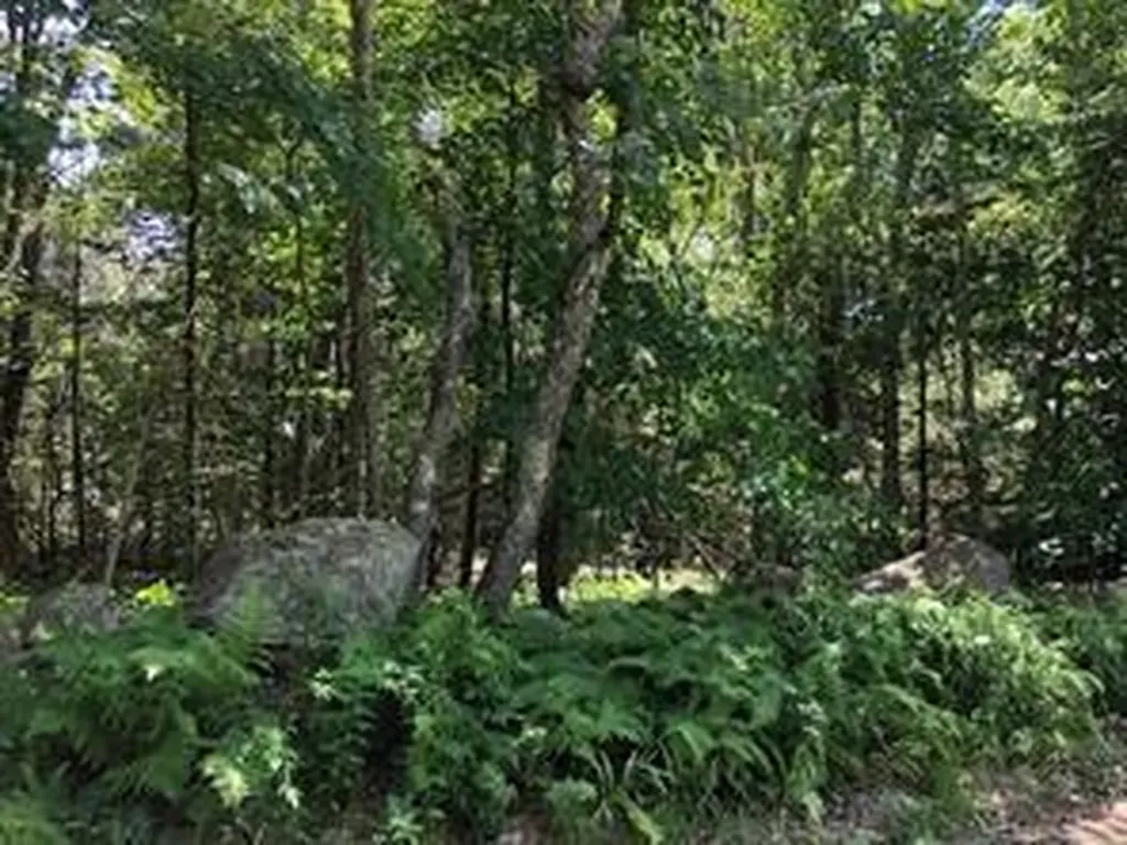 0 Spring Grove Road Glocester RI 02814