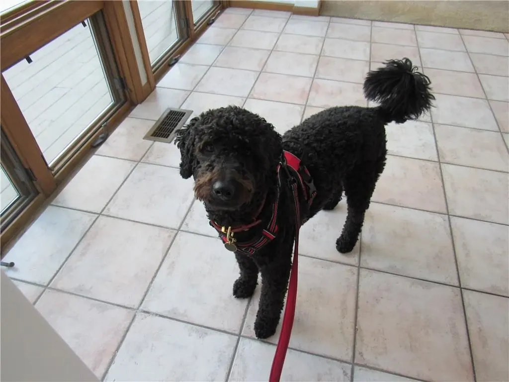 93 Elena Street Cranston RI 02920