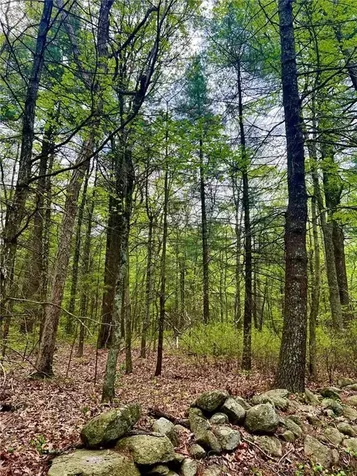 223 Lot3-5 Reservoir Road Smithfield RI 02859