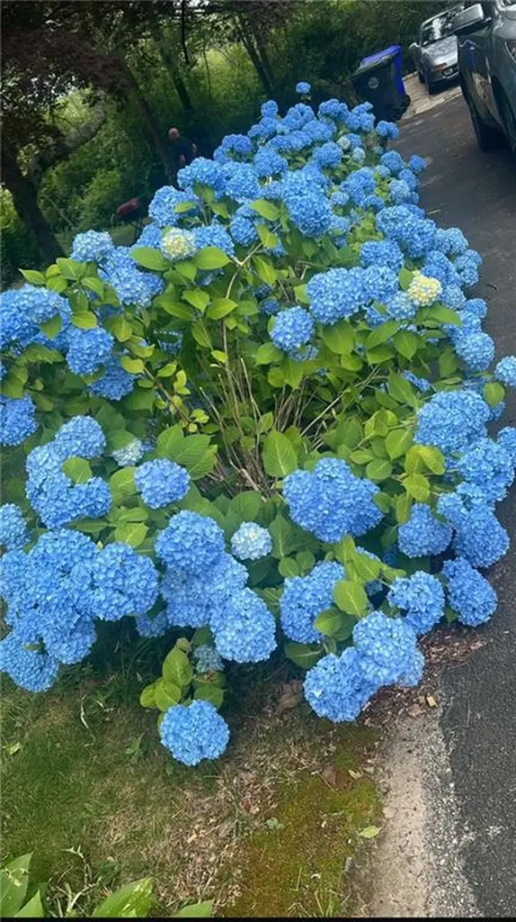 39 Matteson Avenue West Warwick RI 02893