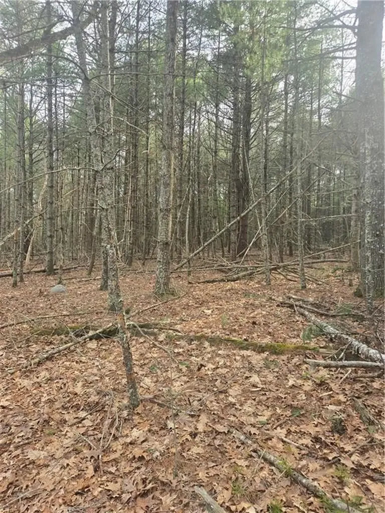 0 Alton Braford Road Hopkinton RI 02894