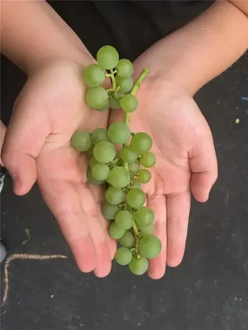 285 School Street Lincoln RI 02865