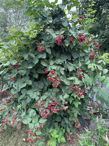 285 School Street Lincoln RI 02865