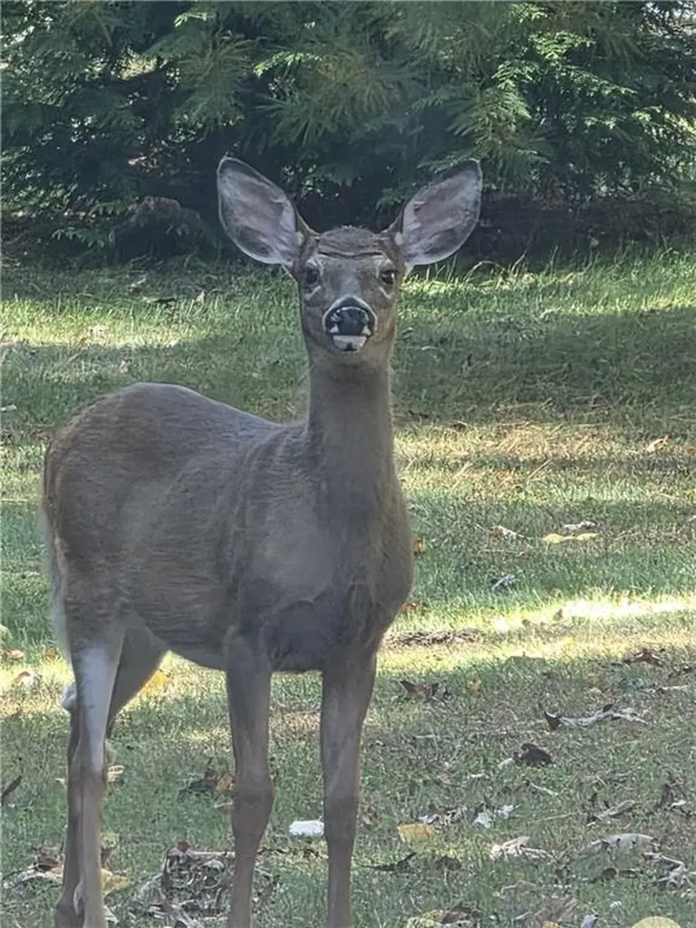 917 Tarkiln Road Burrillville RI 02830