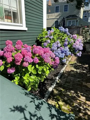 43 Poplar Street Newport RI 02840