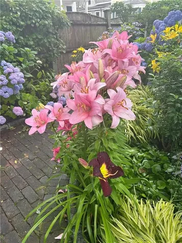 43 Poplar Street Newport RI 02840