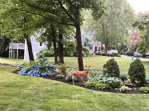 53 Bagy Wrinkle Cove Warren RI 02885