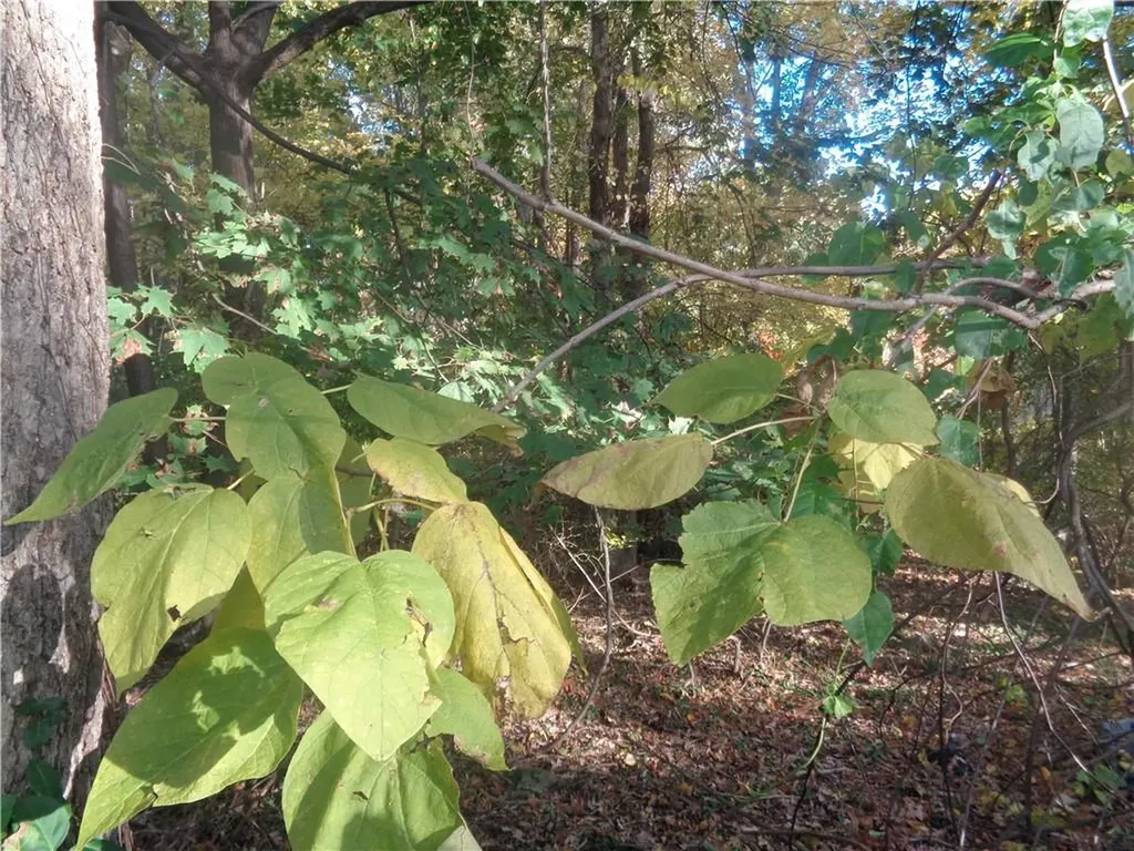 12 Lima Street Warwick RI 02889