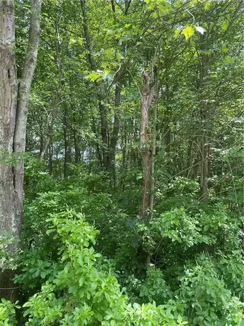 0 Twin River Road Lincoln RI 02865