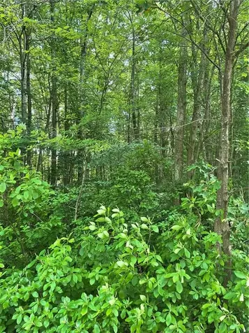 0 Twin River Road Lincoln RI 02865