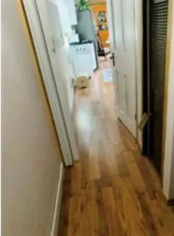 245 Manton Street Pawtucket RI 02861