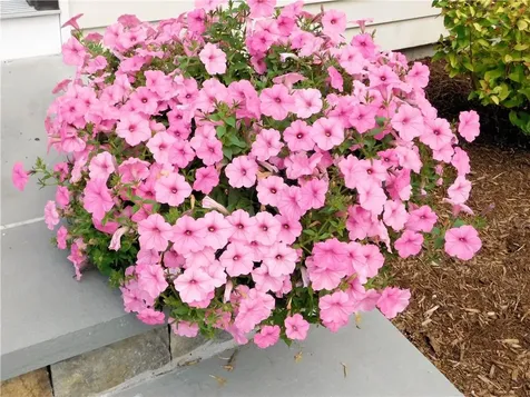 27 Nardolillo Street Johnston RI 02919