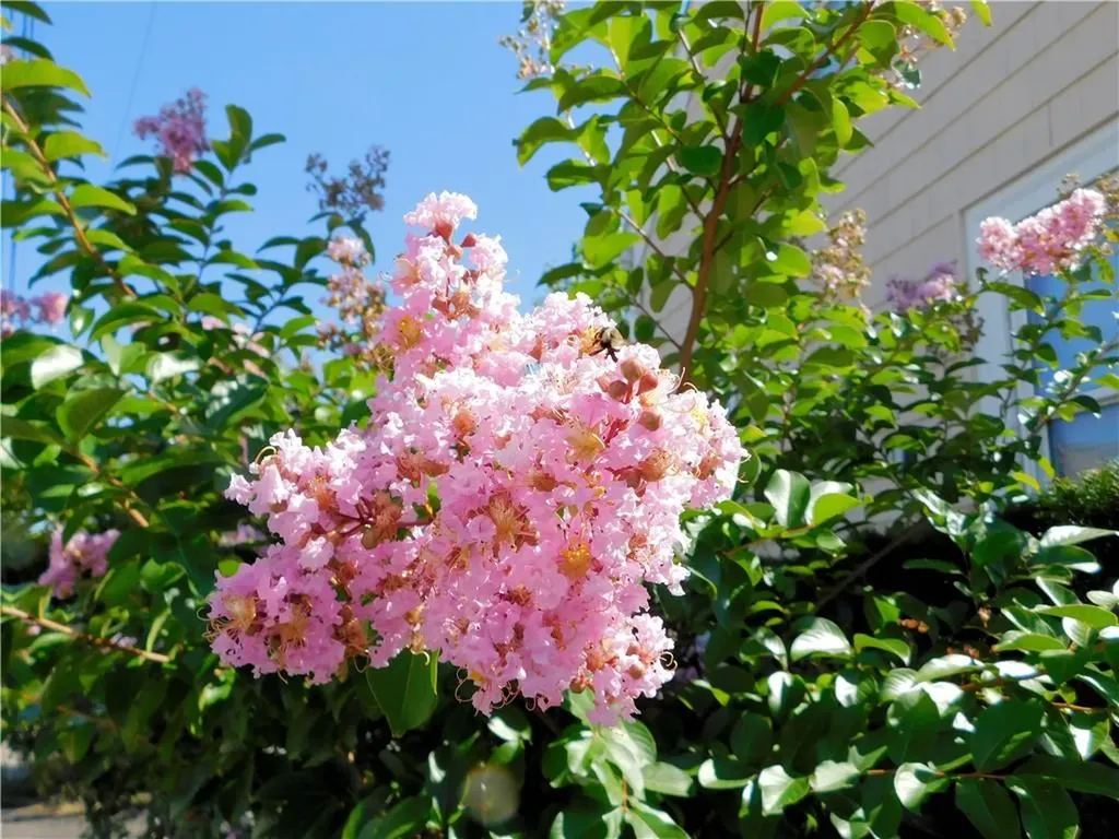 176 Archambault Avenue West Warwick RI 02893