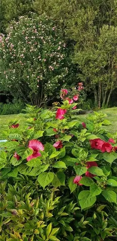 70 Blackbird Street Tiverton RI 02878