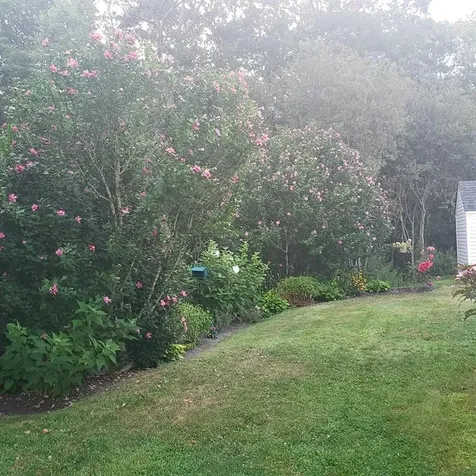 70 Blackbird Street Tiverton RI 02878