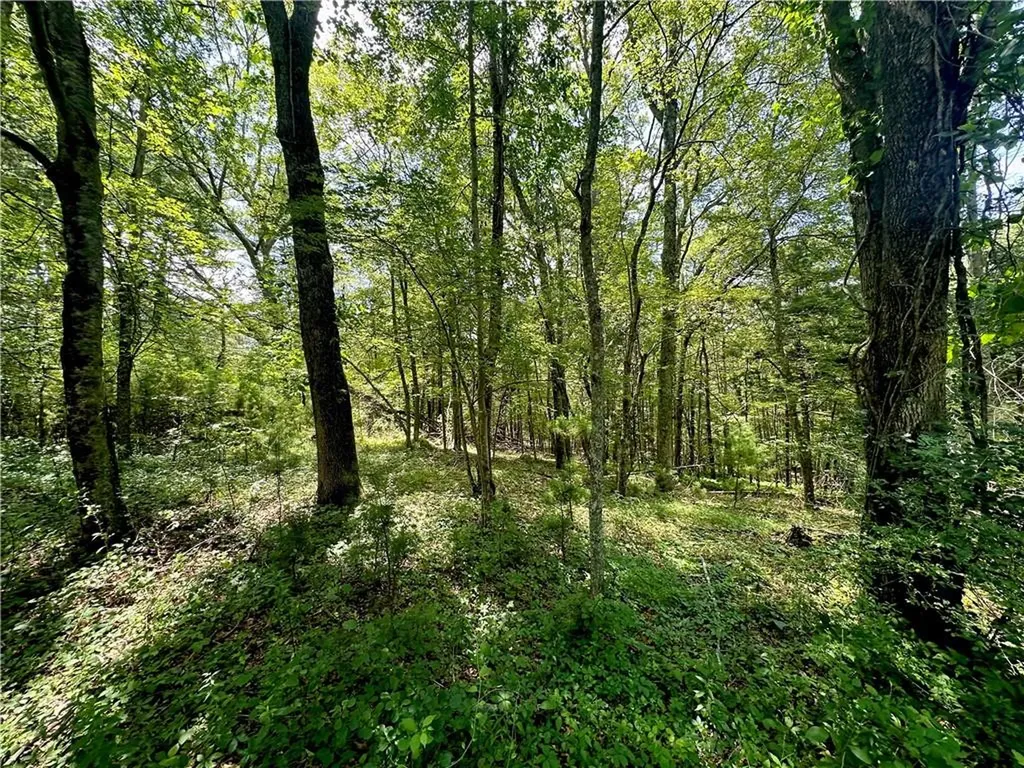 20 Biscuit Hill Road Foster RI 02825