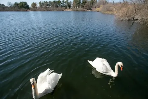 1 Leland Point Drive Portsmouth RI 02871