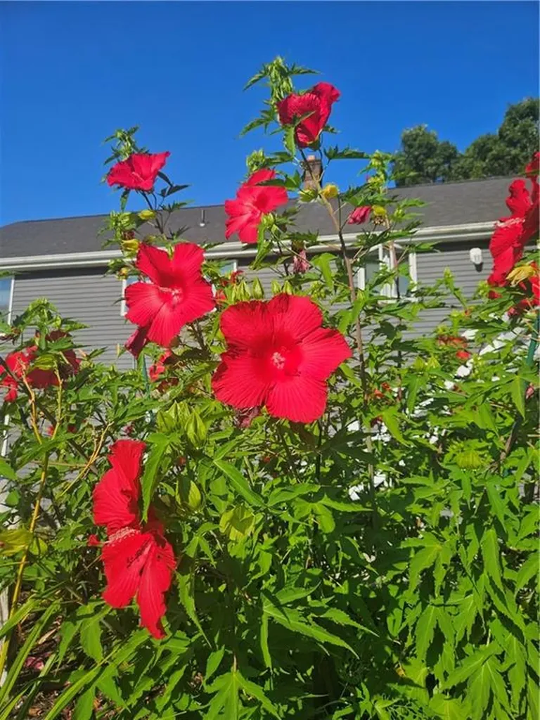 7 1/2 Taylor Road Johnston RI 02919