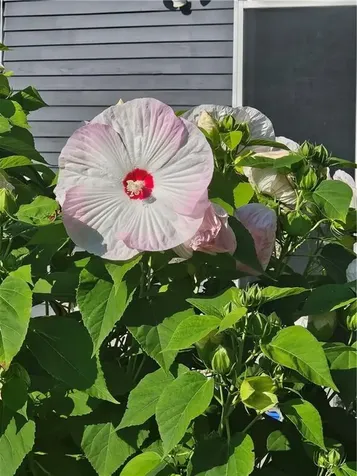 7 Taylor Road Johnston RI 02919