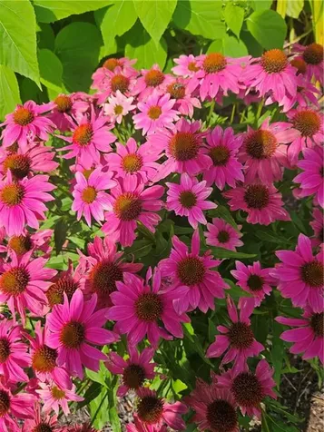 7 Taylor Road Johnston RI 02919