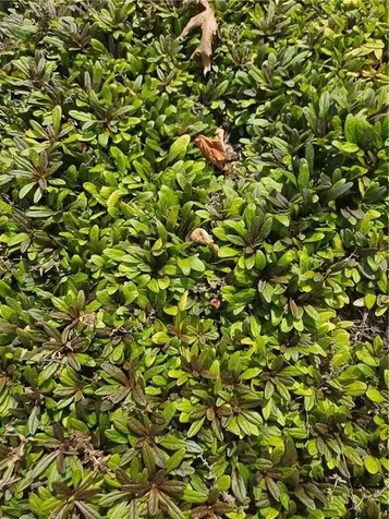 7 Taylor Road Johnston RI 02919