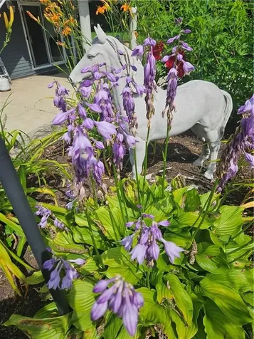 7 Taylor Road Johnston RI 02919