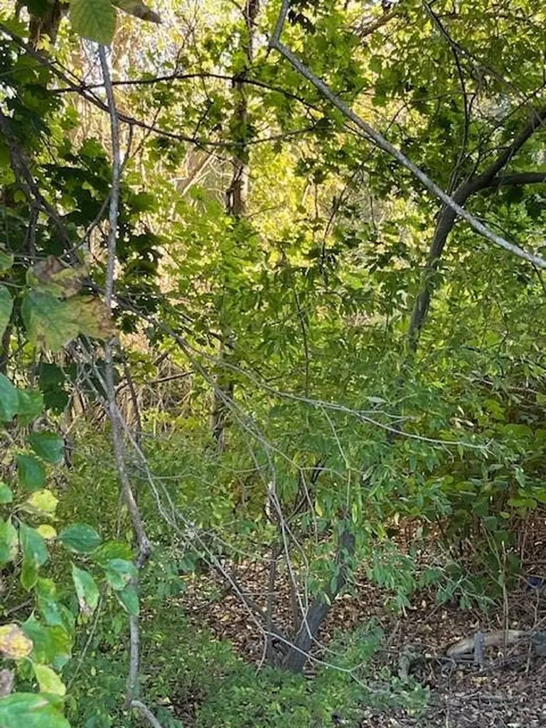 0 Liberty Lane South Kingstown RI 02879