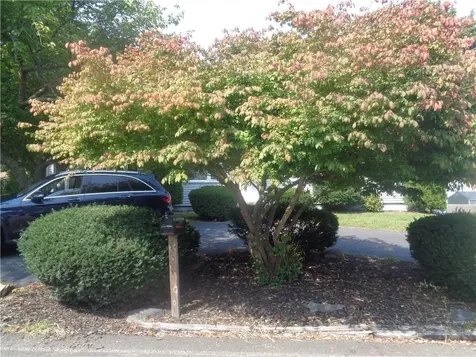 155 Lewiston Street Warwick RI 02889