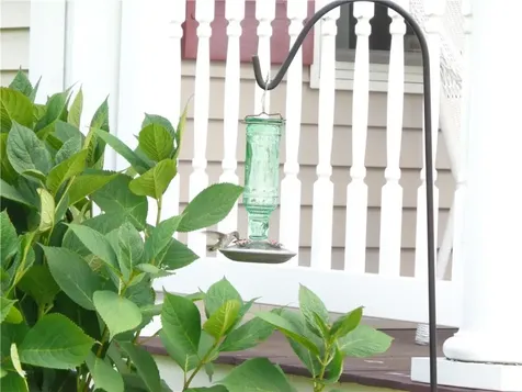 9 Gray Coach East Cranston RI 02921