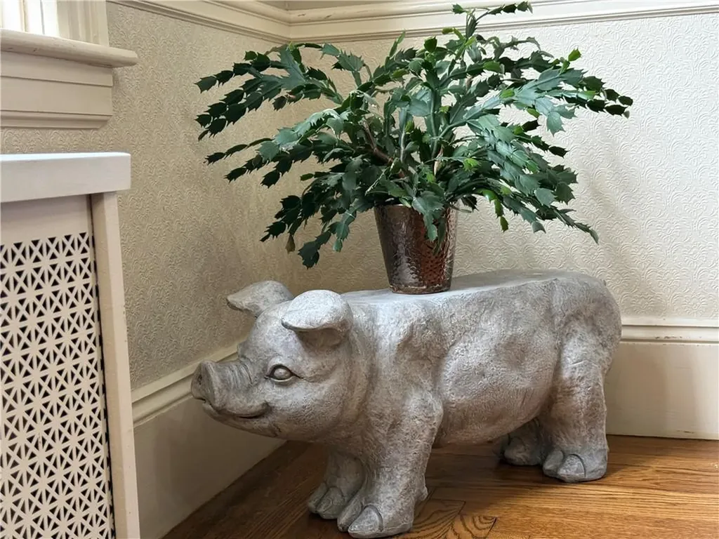 115 Norfolk Street Cranston RI 02910