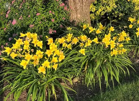 134 Greenfield Avenue Portsmouth RI 02871