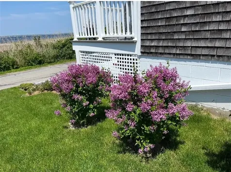 134 Greenfield Avenue Portsmouth RI 02871