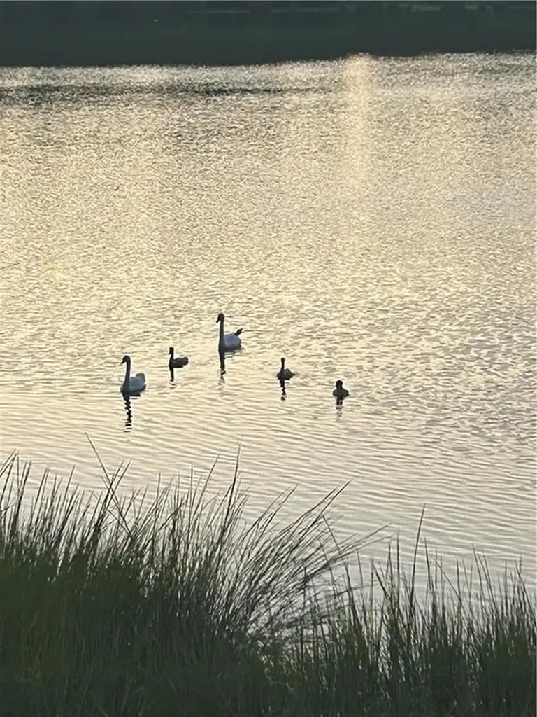 51 North Shore Drive East Providence RI 02915