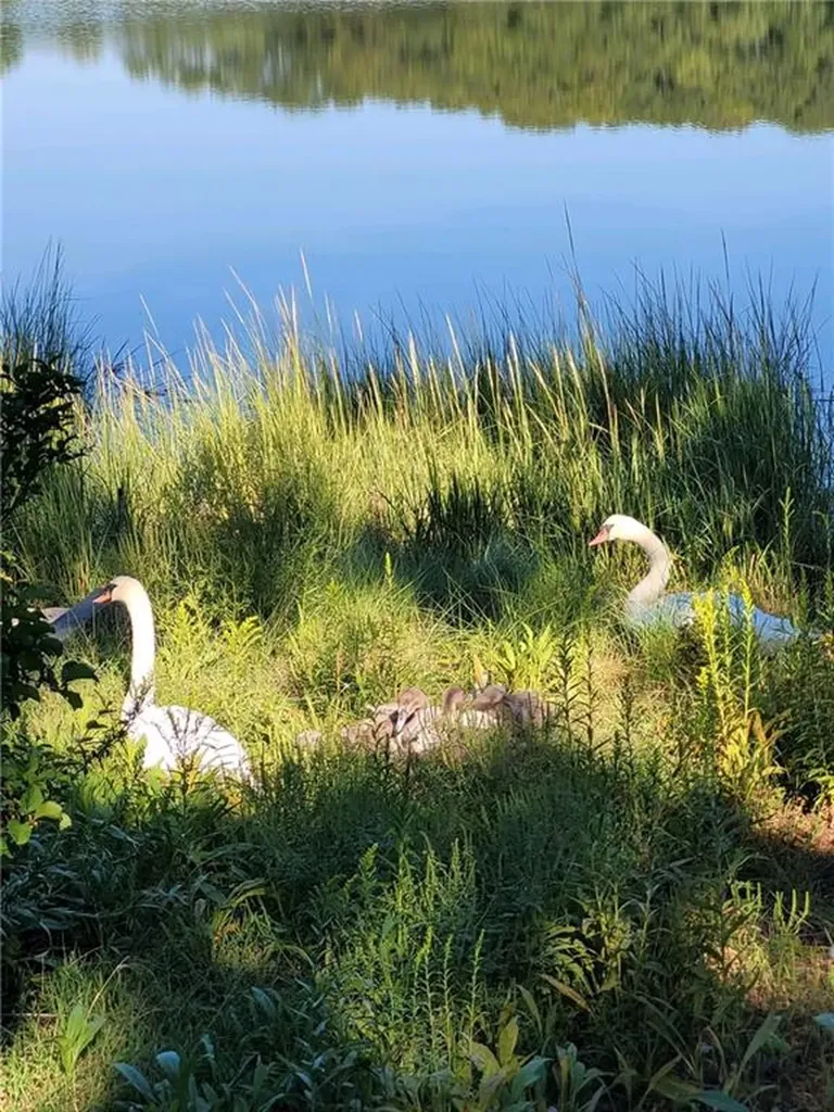 51 North Shore Drive East Providence RI 02915