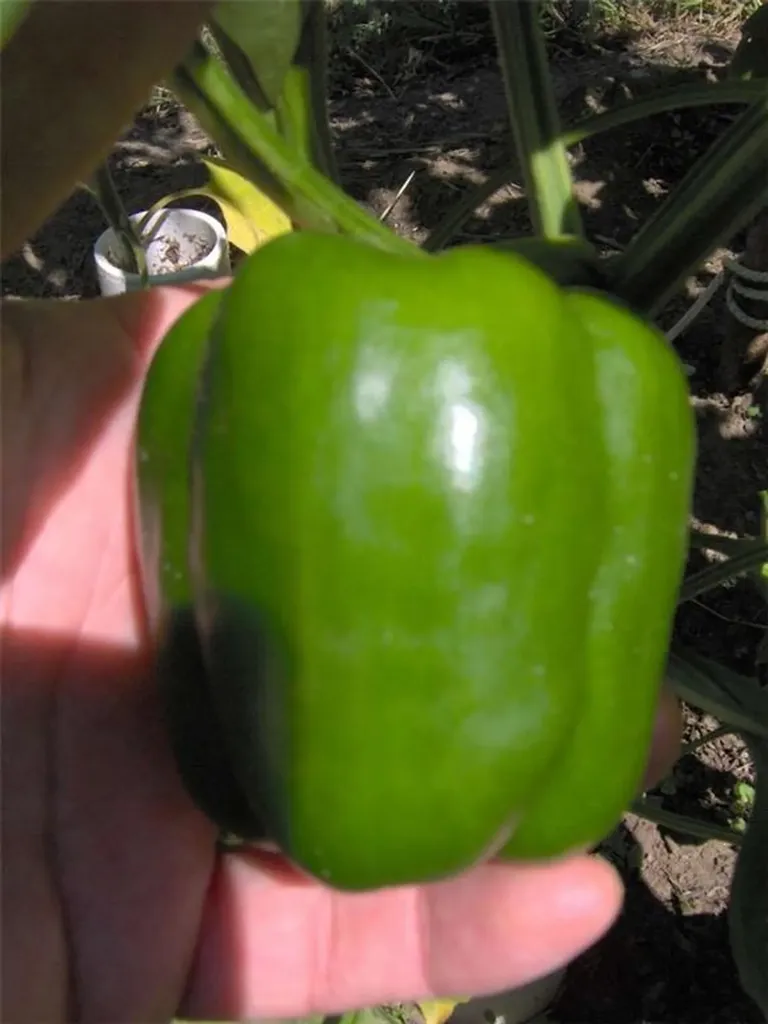 274 Albion Road Lincoln RI 02865