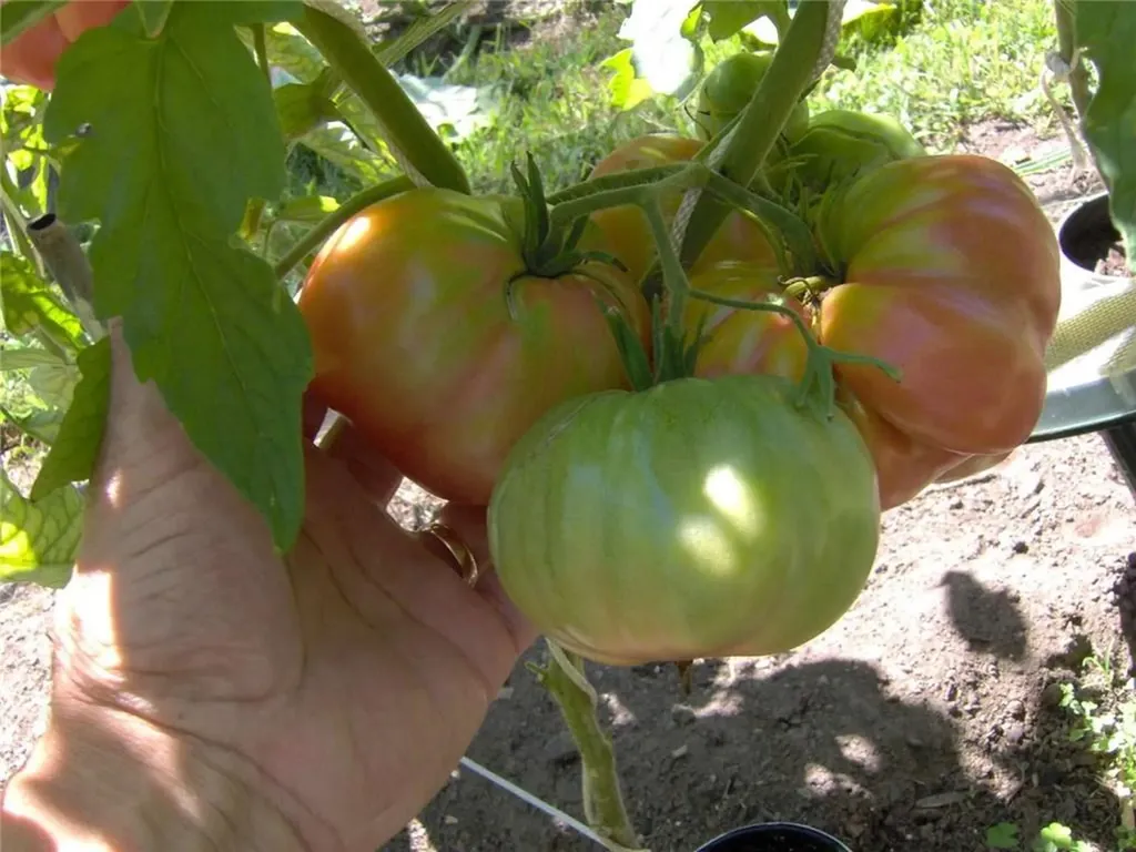 274 Albion Road Lincoln RI 02865