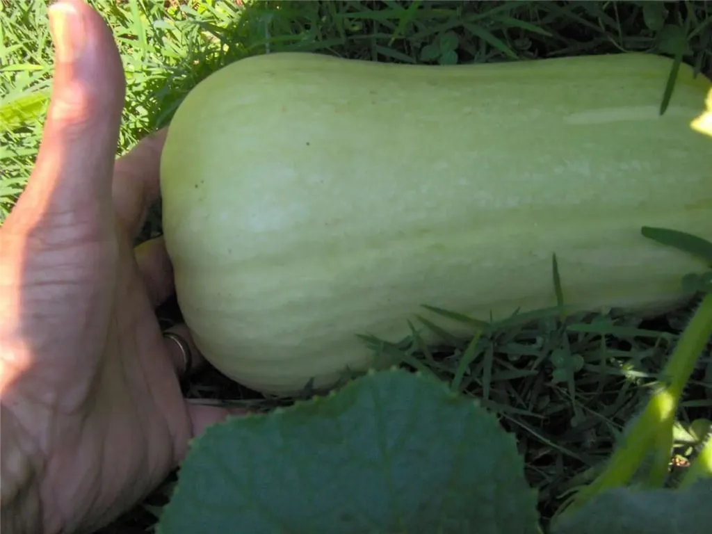 274 Albion Road Lincoln RI 02865