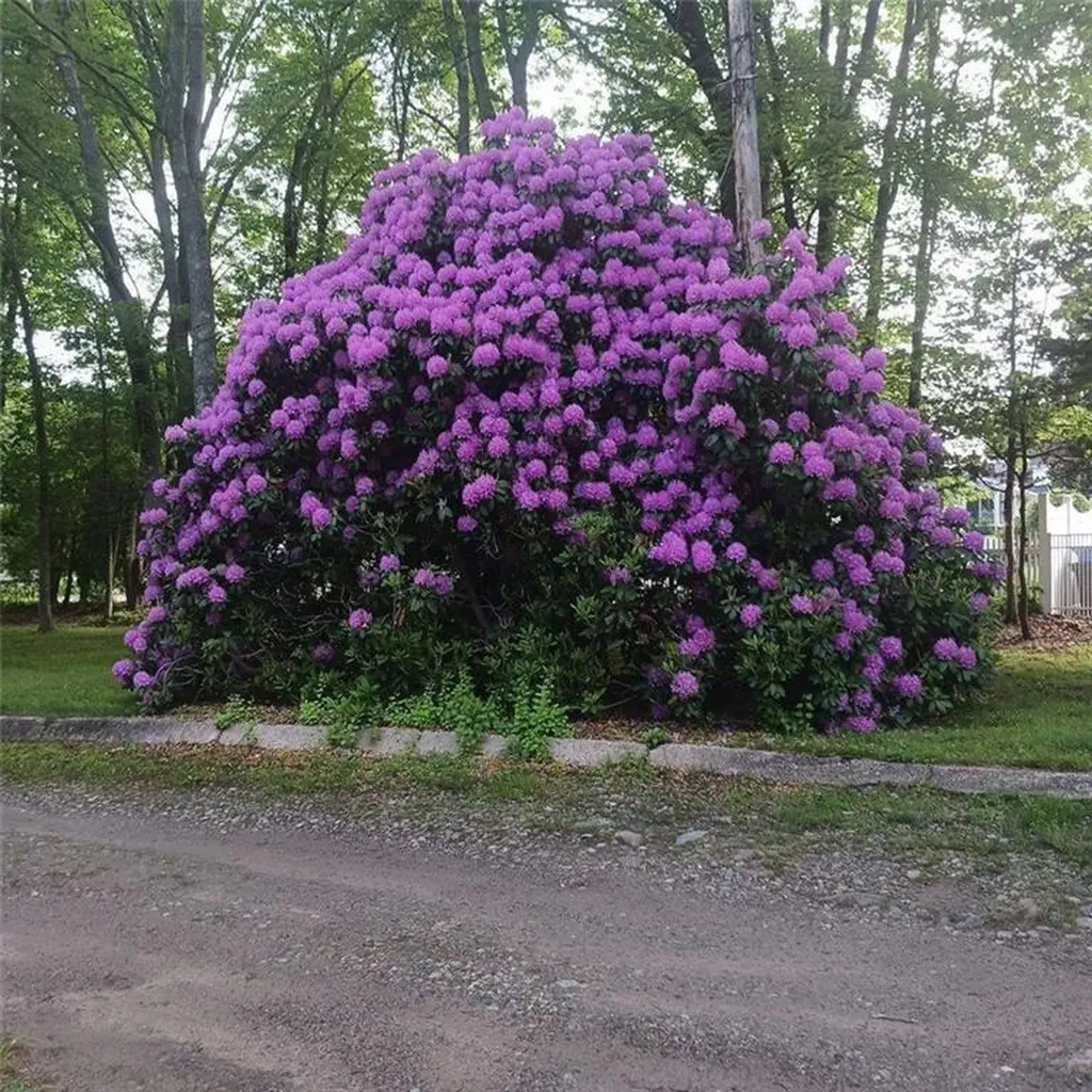 274 Albion Road Lincoln RI 02865