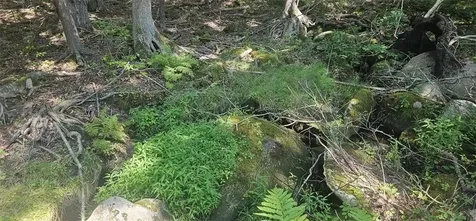 145 Echo Road Glocester RI 02814