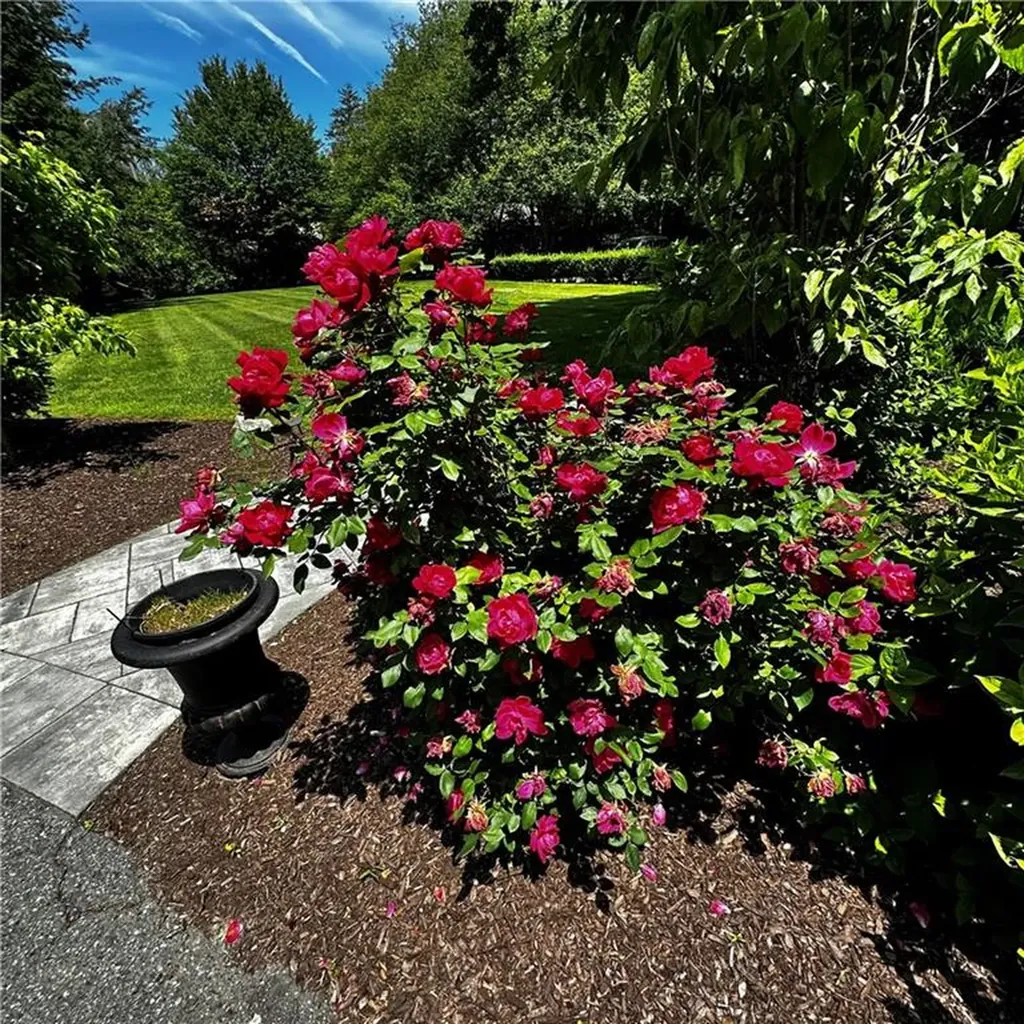 446 Bellevue Avenue Newport RI 02840