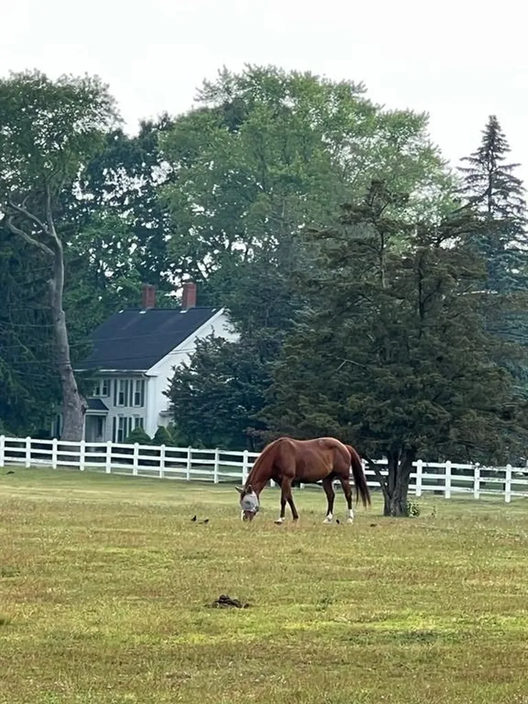 190 Capron Farm Drive Warwick RI 02886