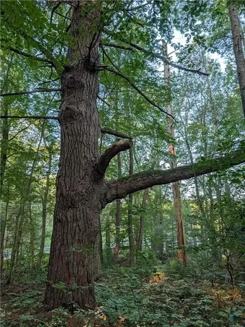 178 Pray Hill Road Glocester RI 02814