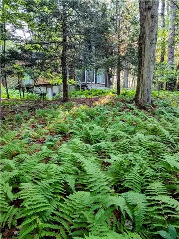 178 Pray Hill Road Glocester RI 02814