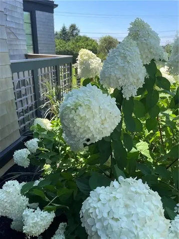 1448 Mohegan Trail Block Island RI 02807