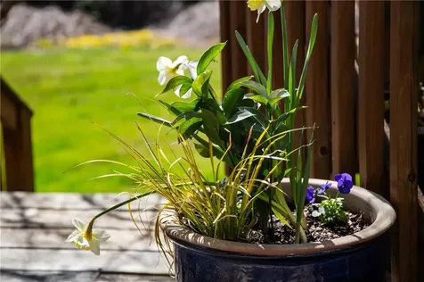 201 Paradise Avenue Middletown RI 02842