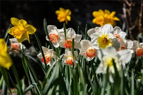 201 Paradise Avenue Middletown RI 02842