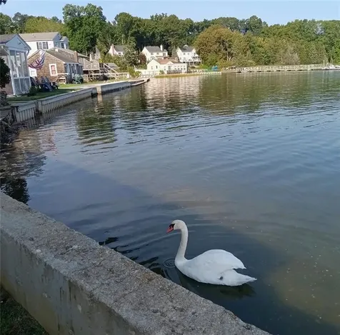 99 Smith Street Bristol RI 02809