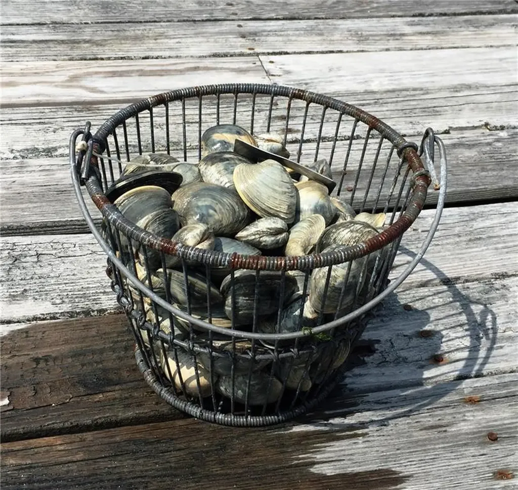 61 Bay View Road Charlestown RI 02813